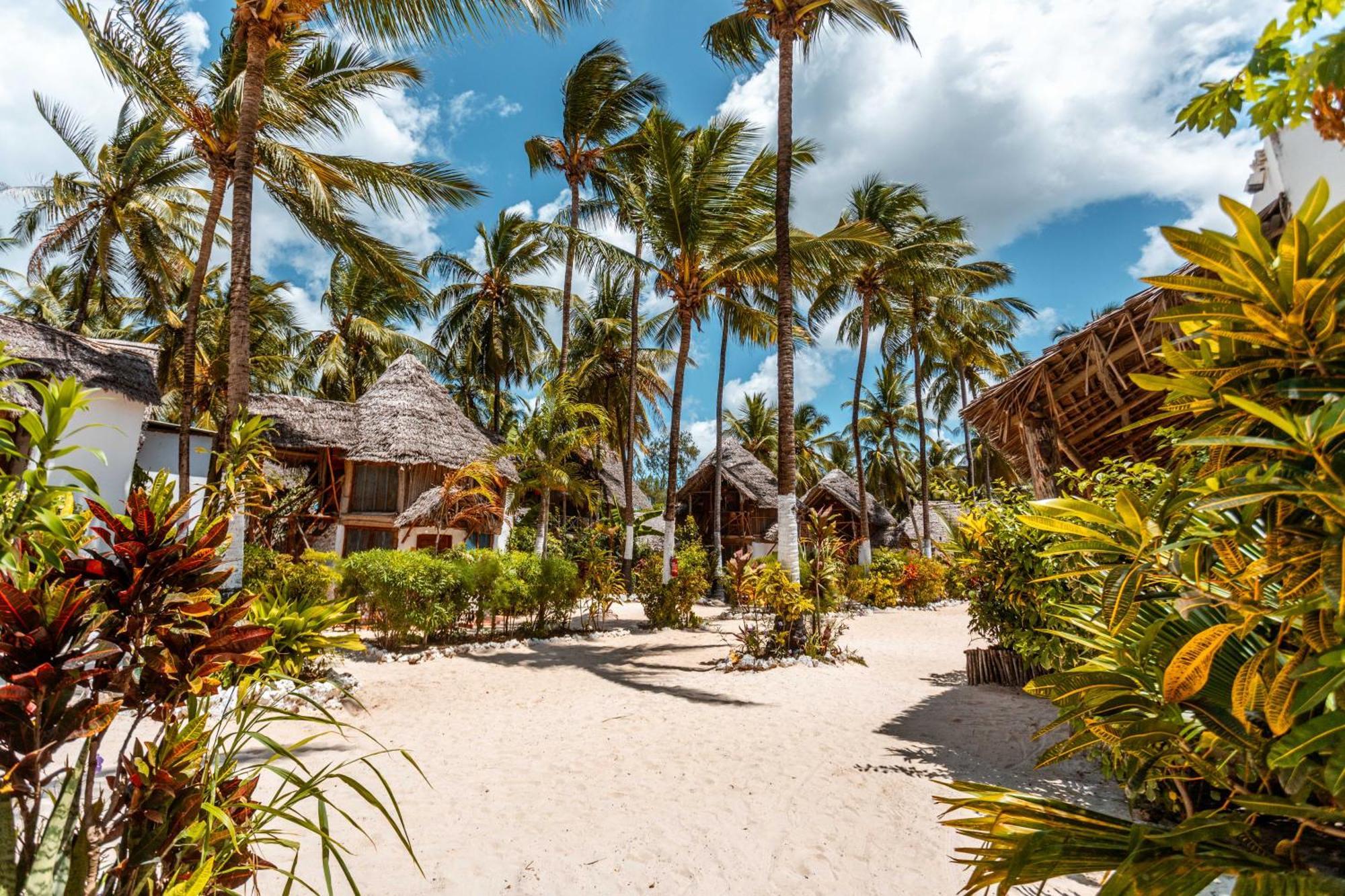 Maisha Matamu Beach Hotel Paje Exterior foto