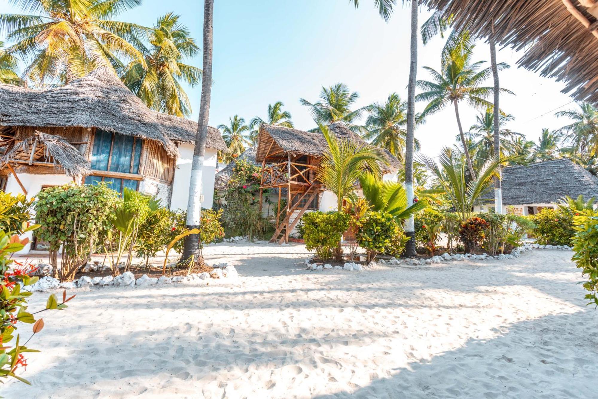 Maisha Matamu Beach Hotel Paje Exterior foto