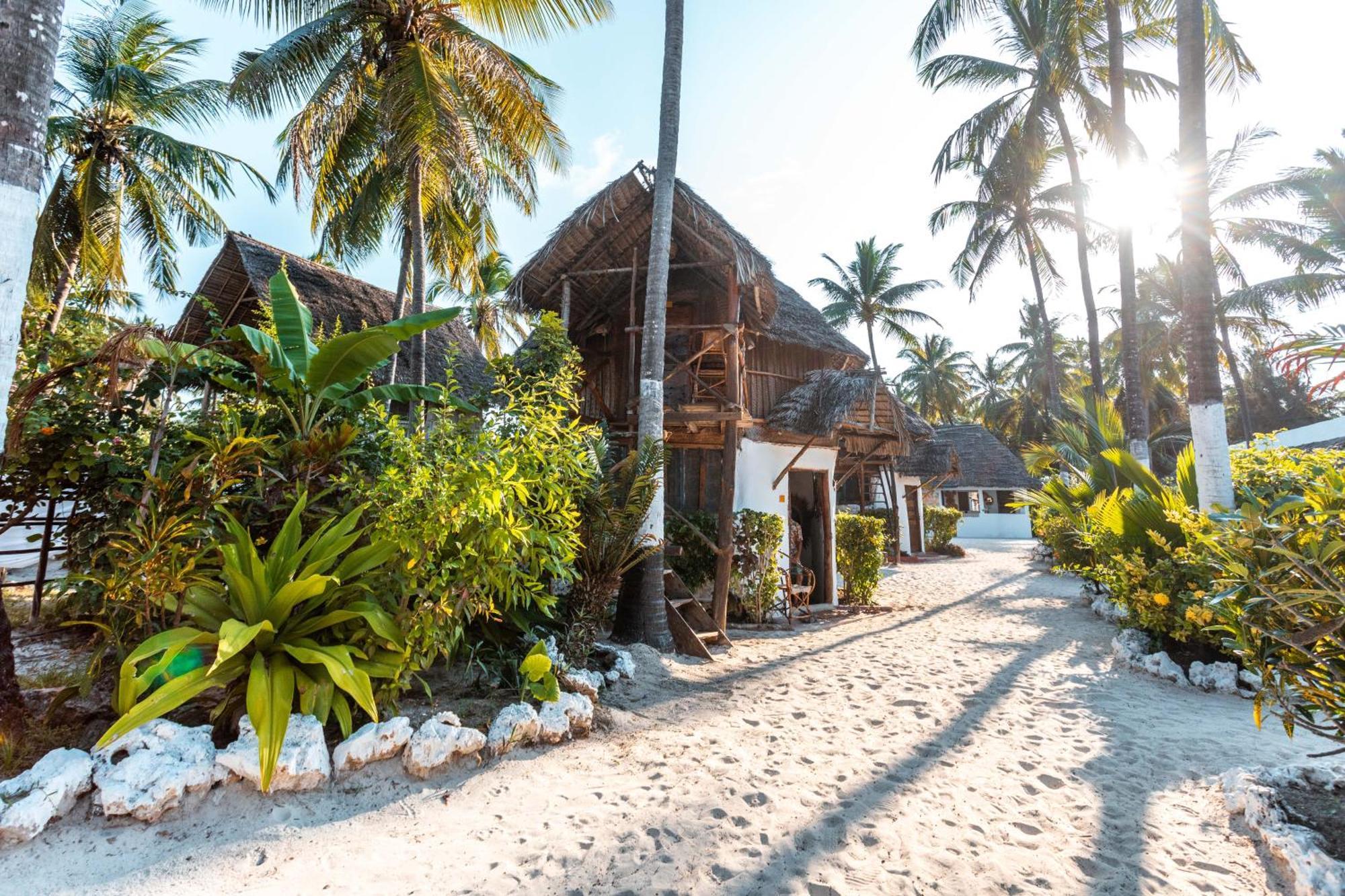Maisha Matamu Beach Hotel Paje Exterior foto
