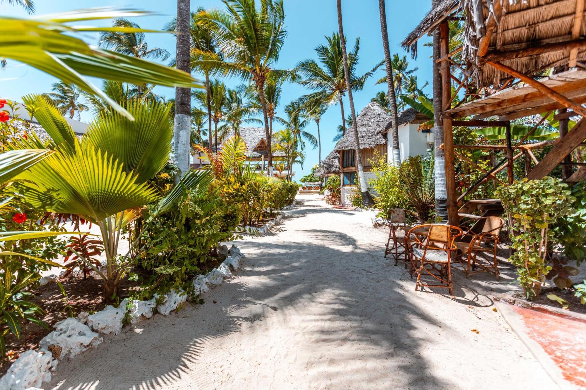 Maisha Matamu Beach Hotel Paje Exterior foto